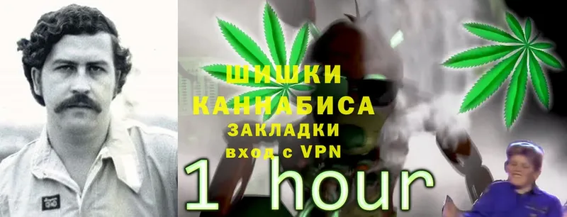 hydra ссылки  где найти наркотики  Пугачёв  Бошки Шишки Ganja 